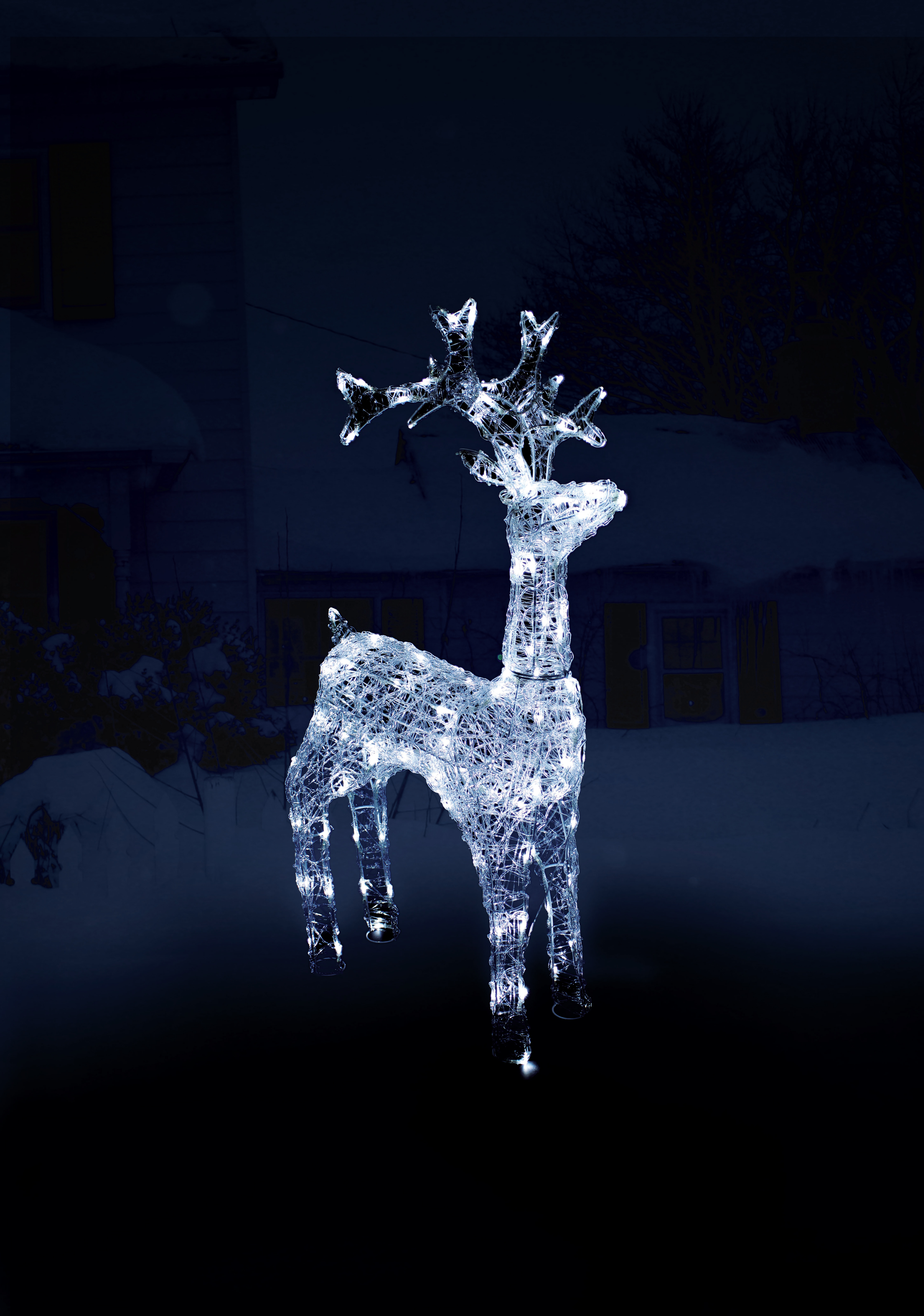 3D standing Acrylic Reinder