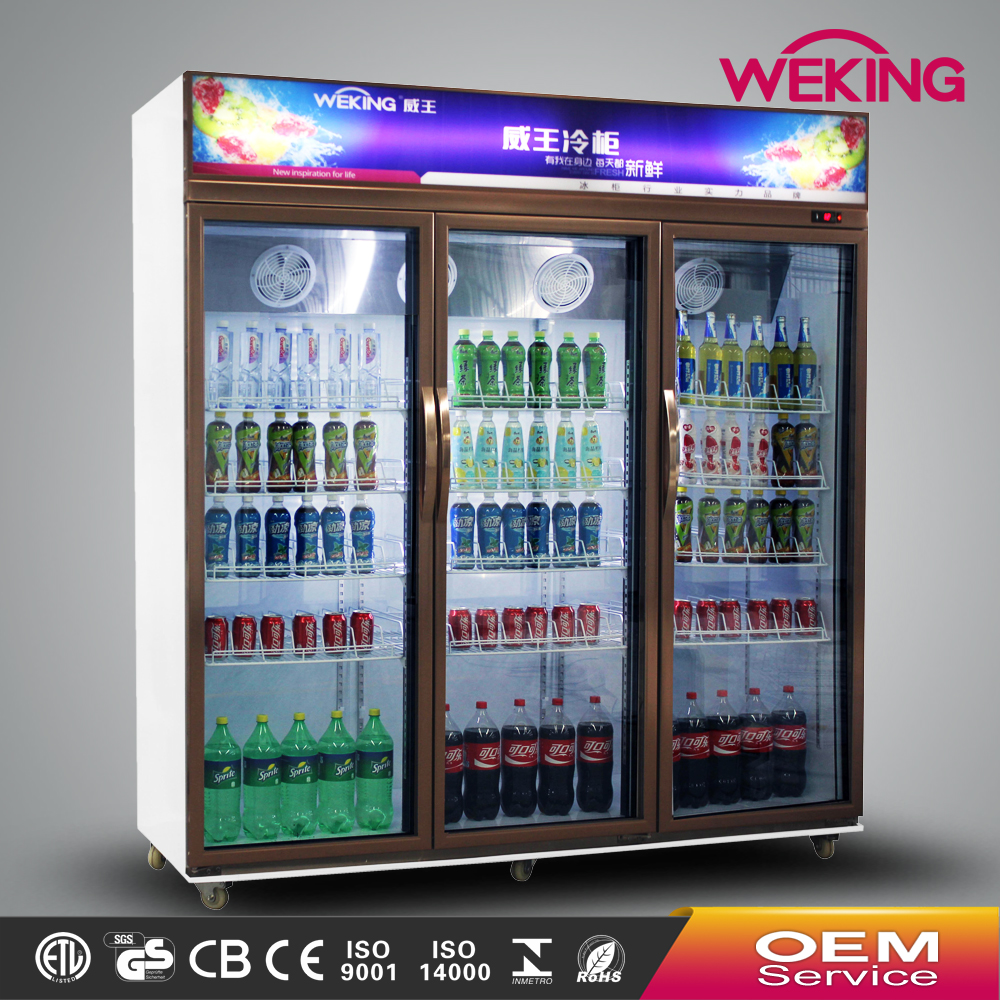 GUANGDONG WEKING GROUP CO.,LTD – Home freezer 3