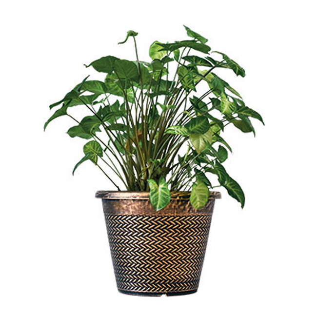 WENLING FOREIGN TRADING CO., LTD. – figura decorativa 1