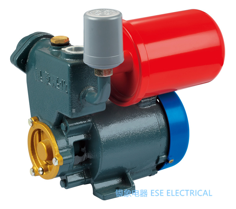 Automatic pump