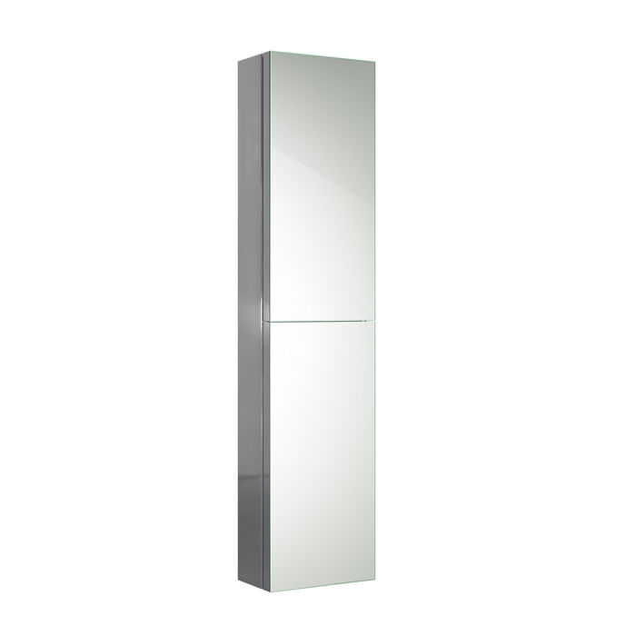 Stainless steel mirror cabinet