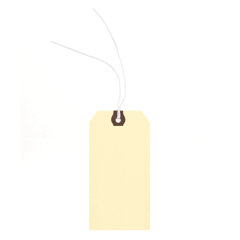 PT1206 Kraft Manila Paper Tags