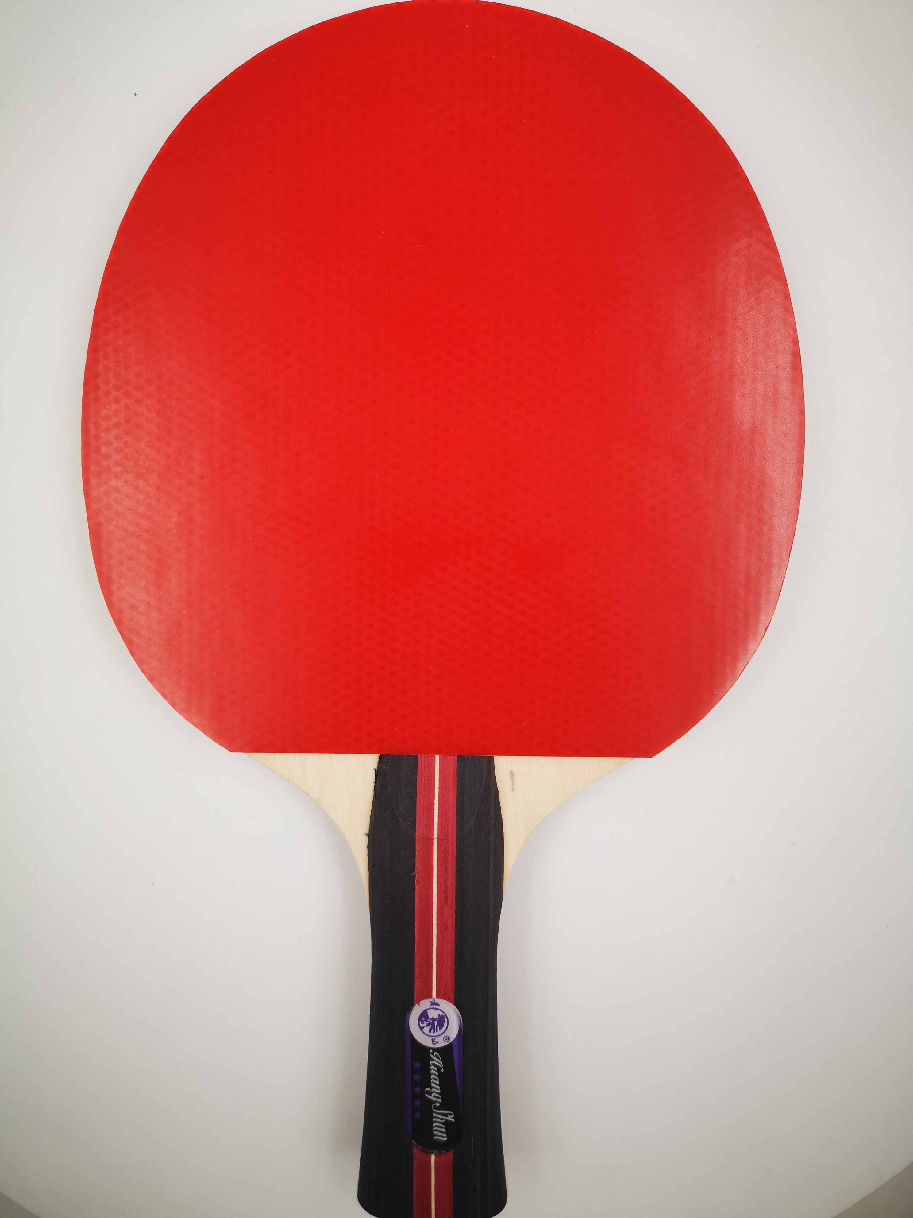 Tabel Tennis Paddle