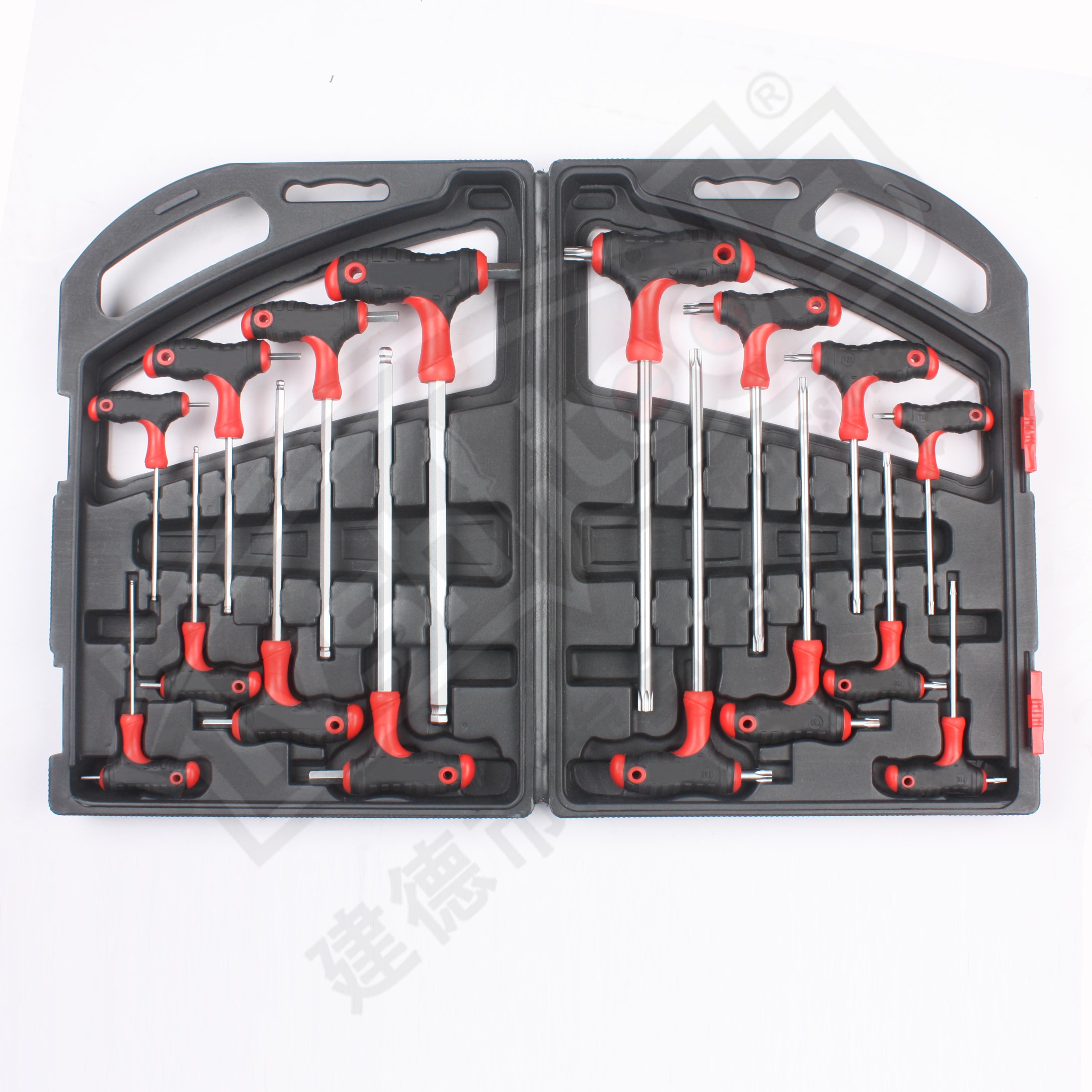 16pcs T Handle Hex & Torx Key Set
