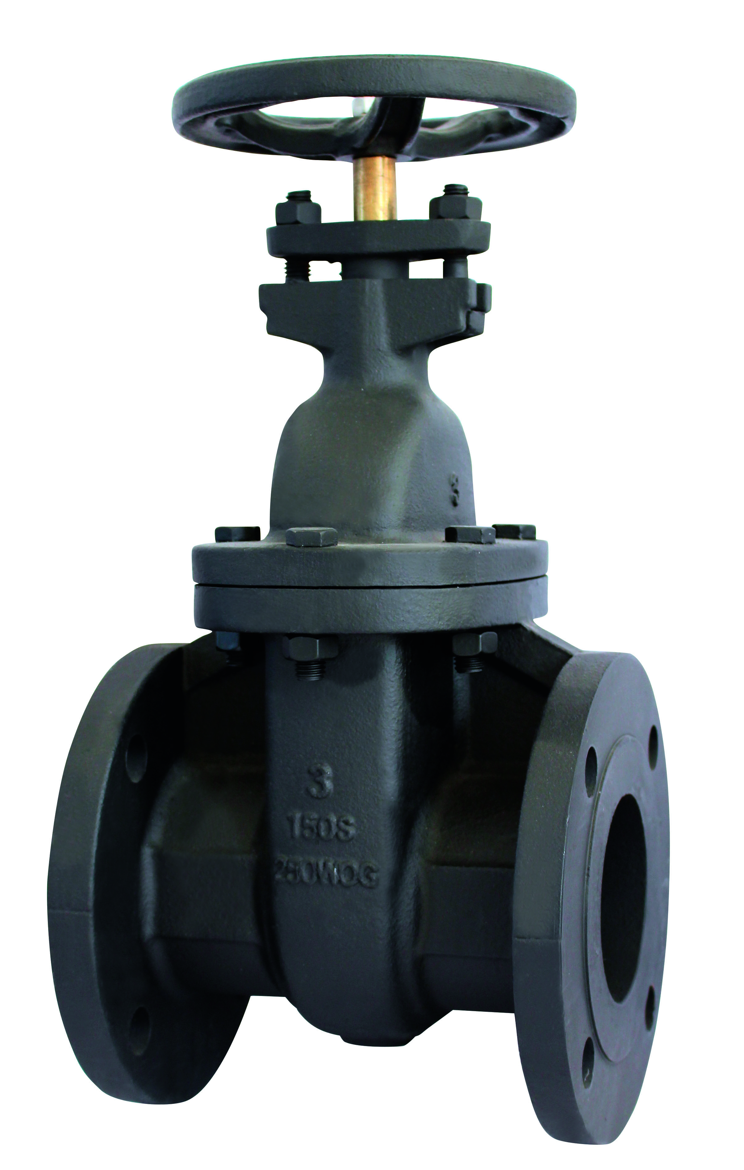 SHANDONG GENERAL MACHINERY IMP. & EXP. CO., LTD. – molde de inyección 1