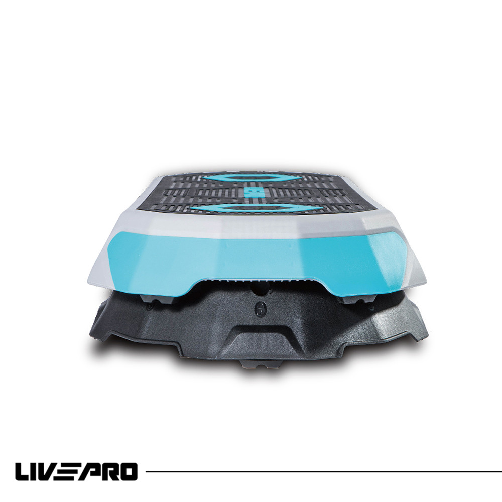 Livepro Step