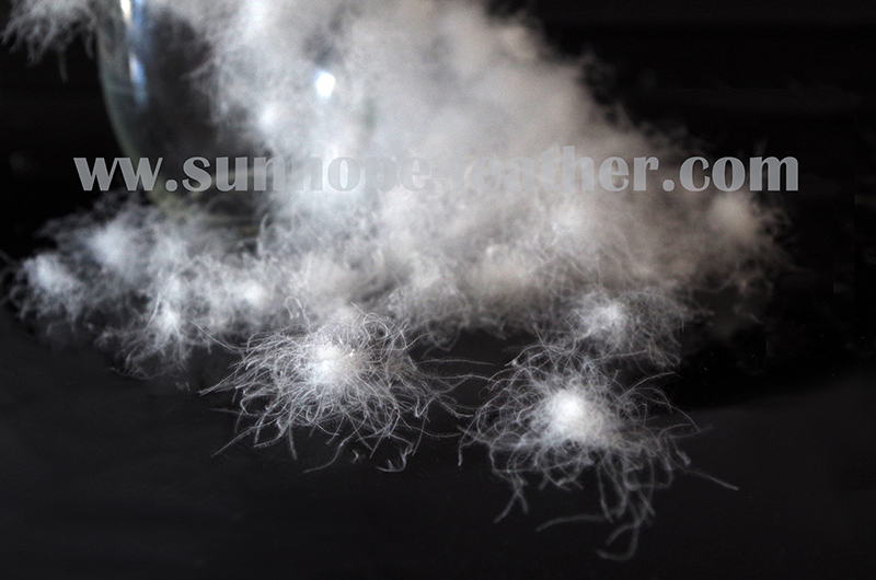 SHUNHE  feather & Down products Co.,Ltd. – Ltd. 2