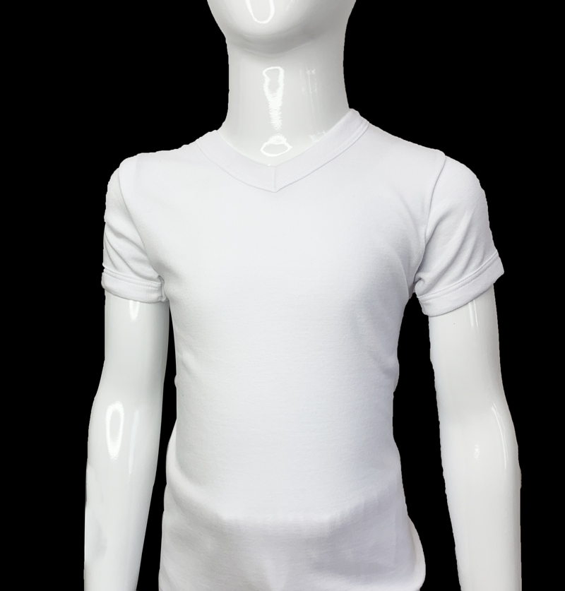Boy's V Neck T.shirt