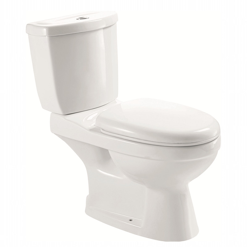 washdown two-piece toilet