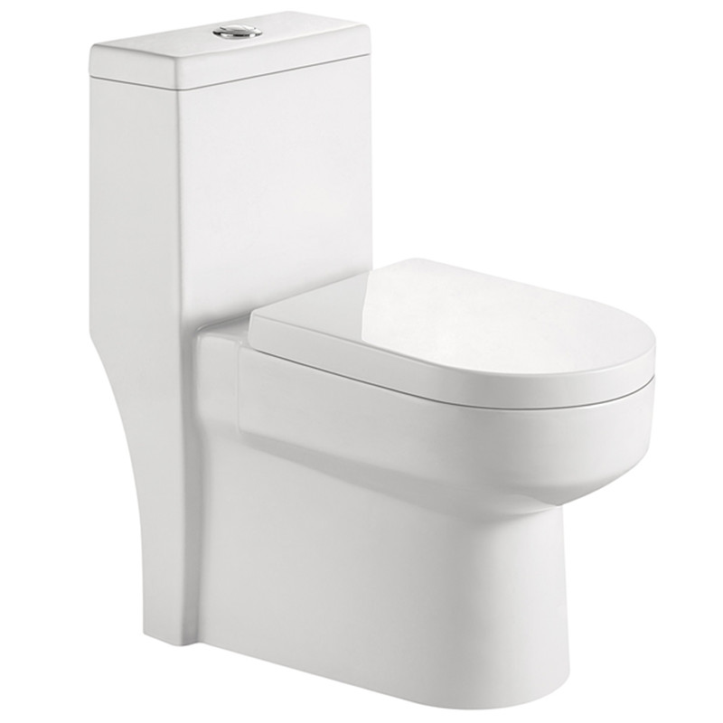 Siphonic One piece Toilet
