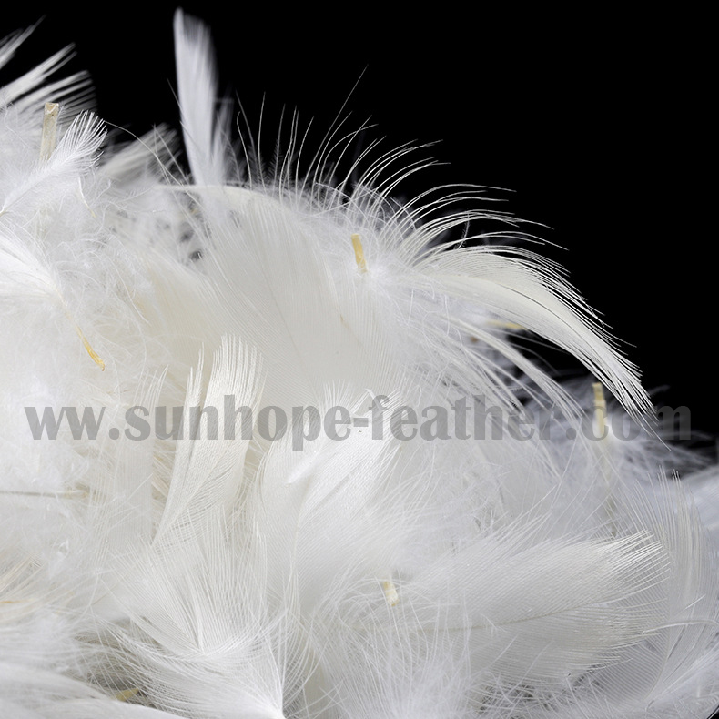 SHUNHE  feather & Down products Co.,Ltd. – Photos produits 3
