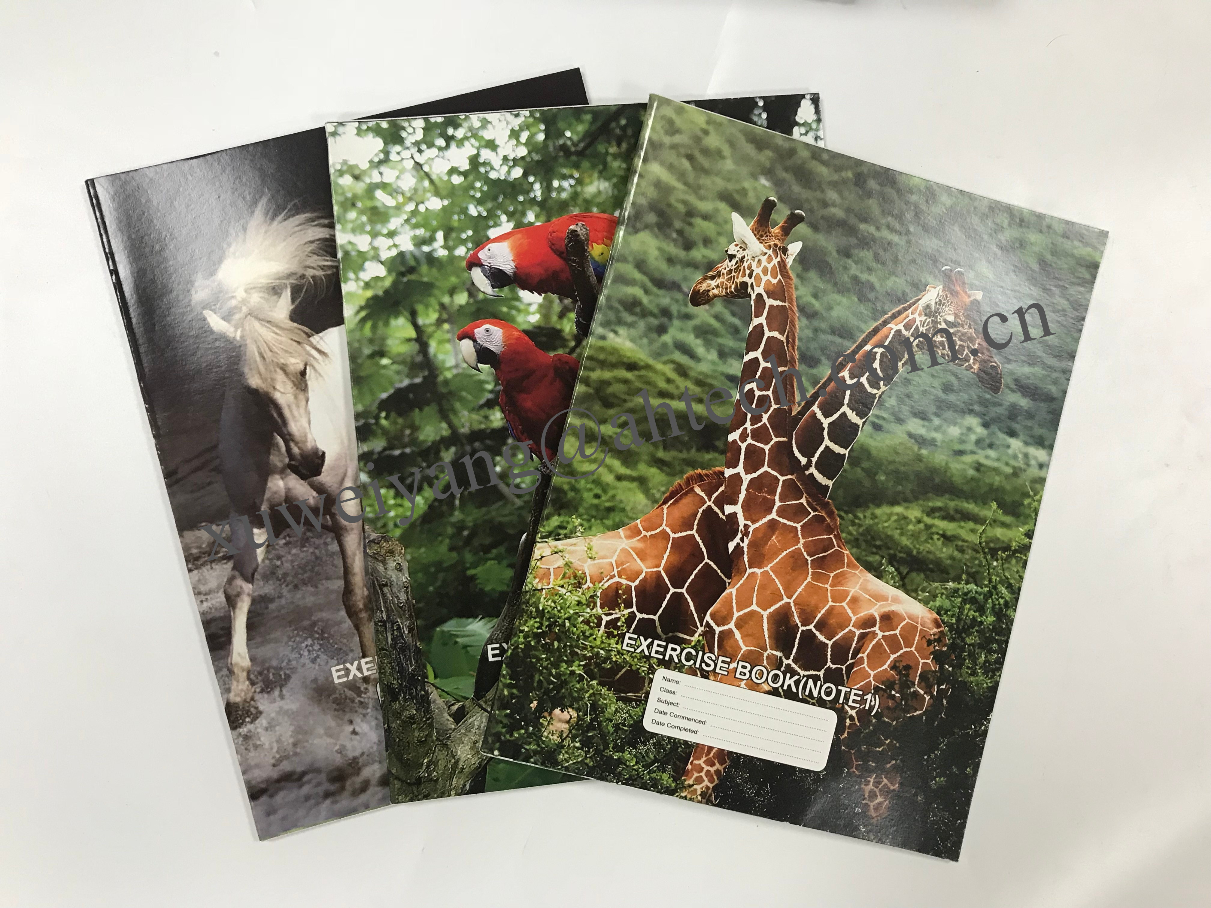 popular NOTEBOOK1&3 exercise book