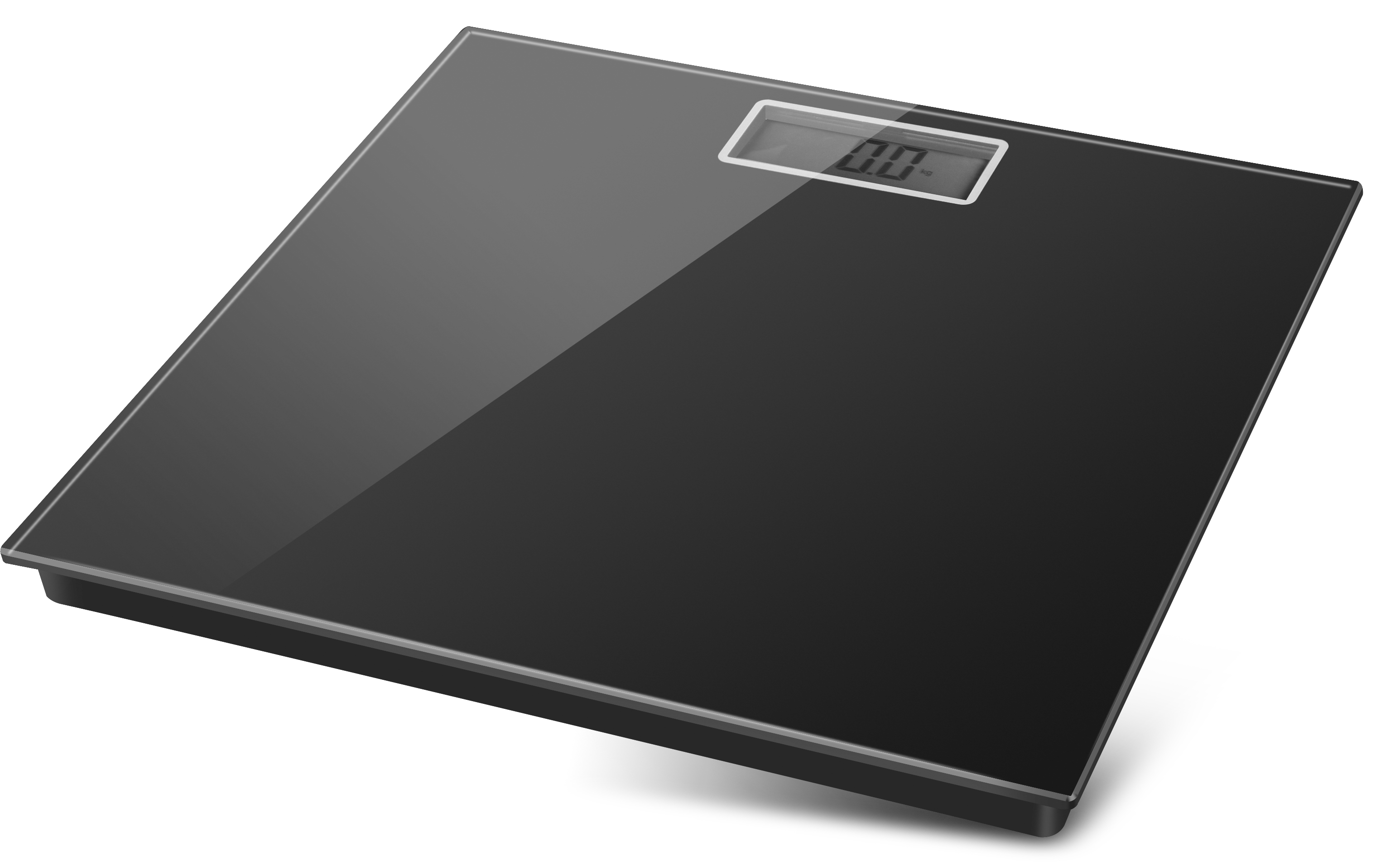 Talking scale