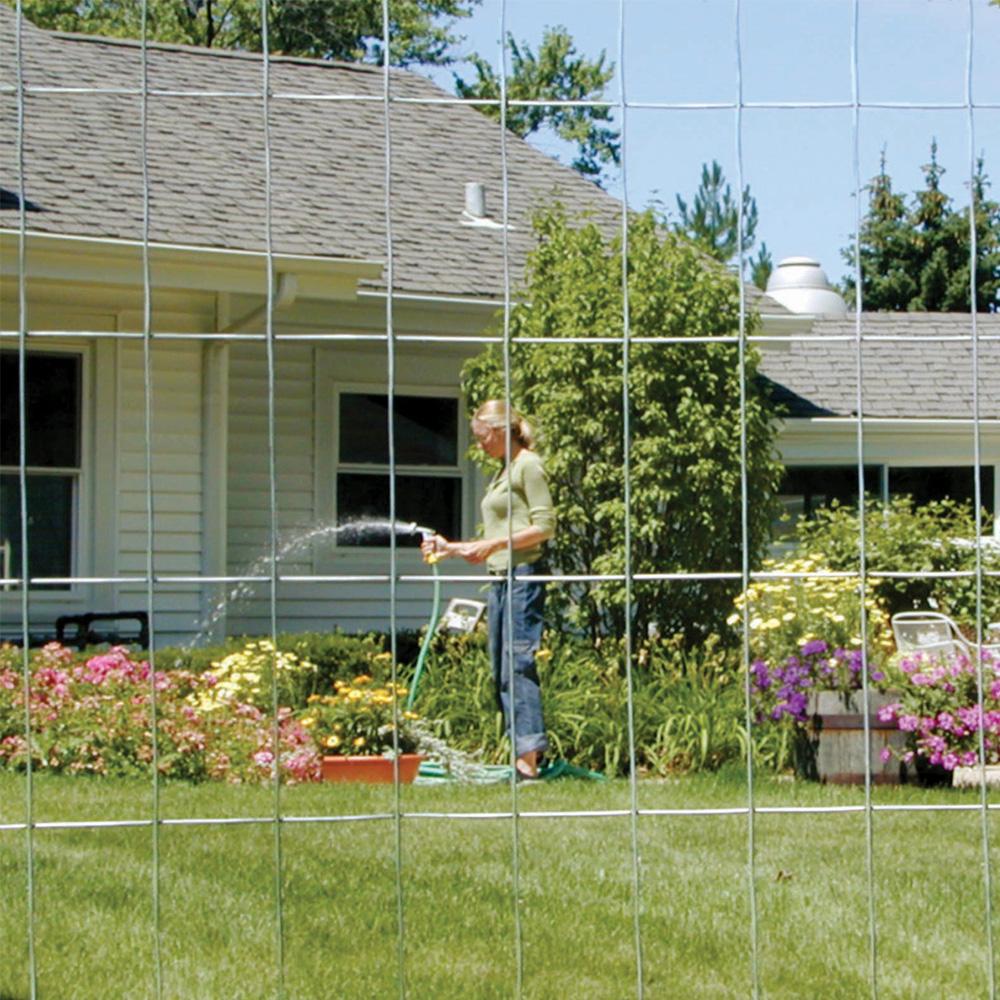 Welded Wire Mesh Galvanized Welded Wire Mesh Wire Mesh