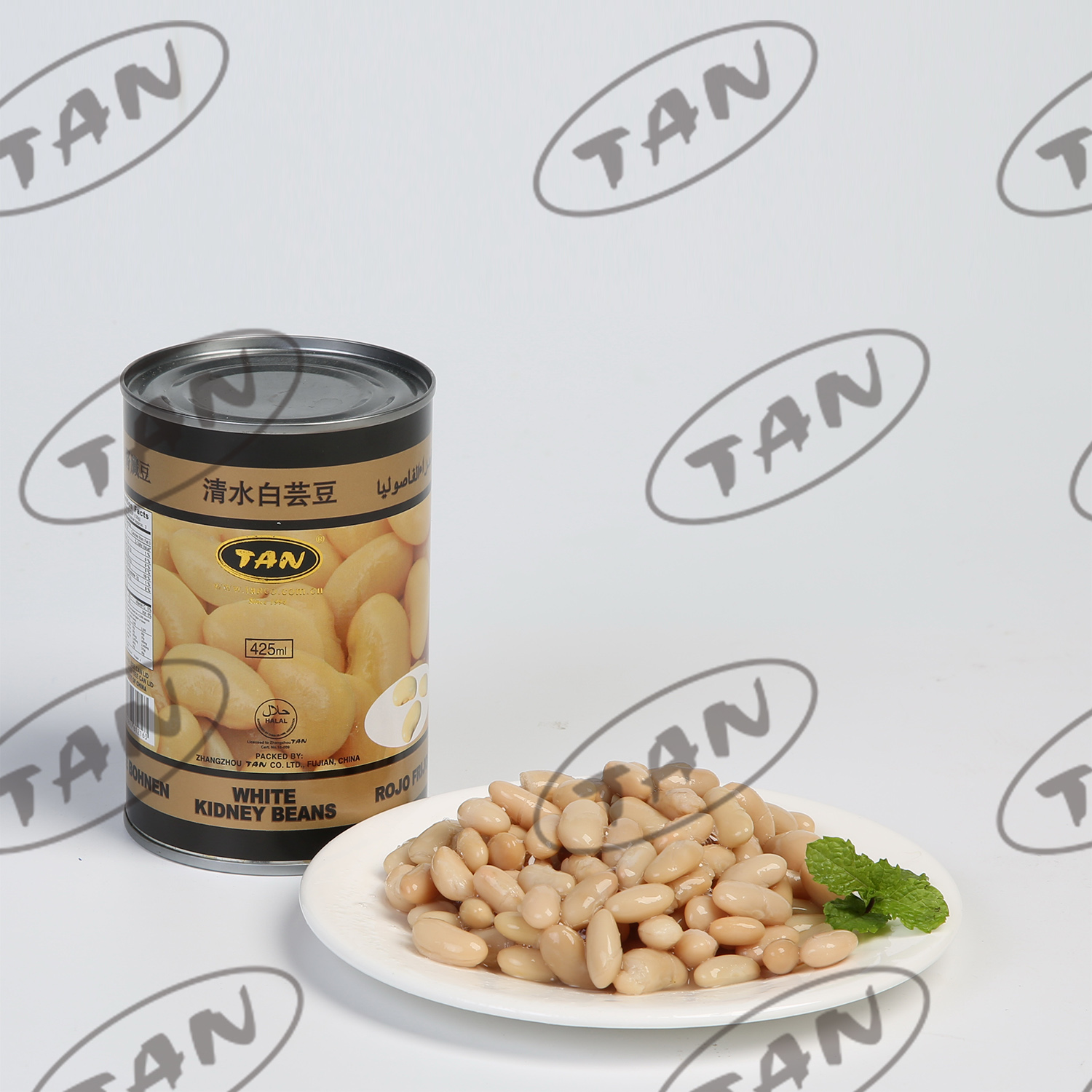 canned white kidney bean in water