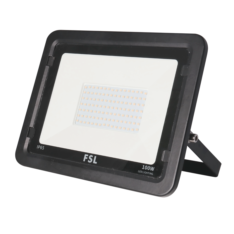 LED Flood Light