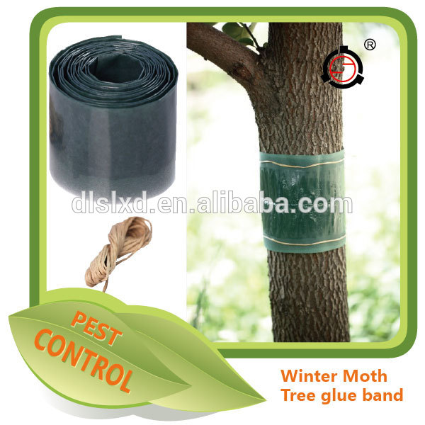 Tree Glue Band