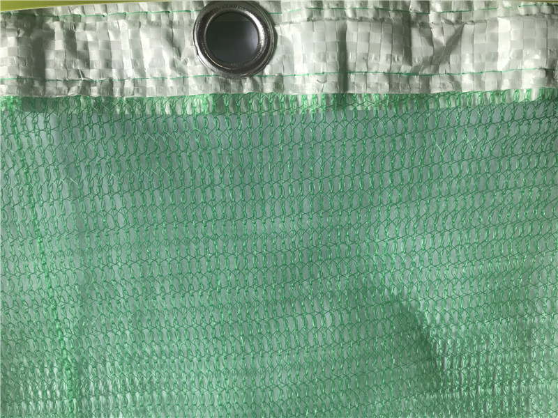660G Green Or Blue Construction Safety Net