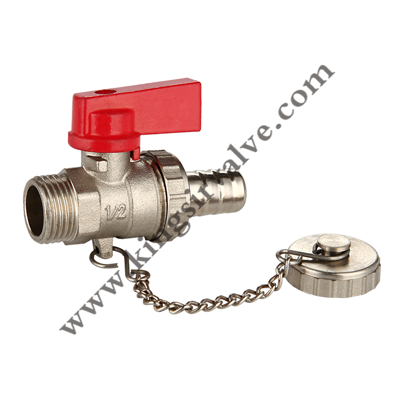Ball valve with chain