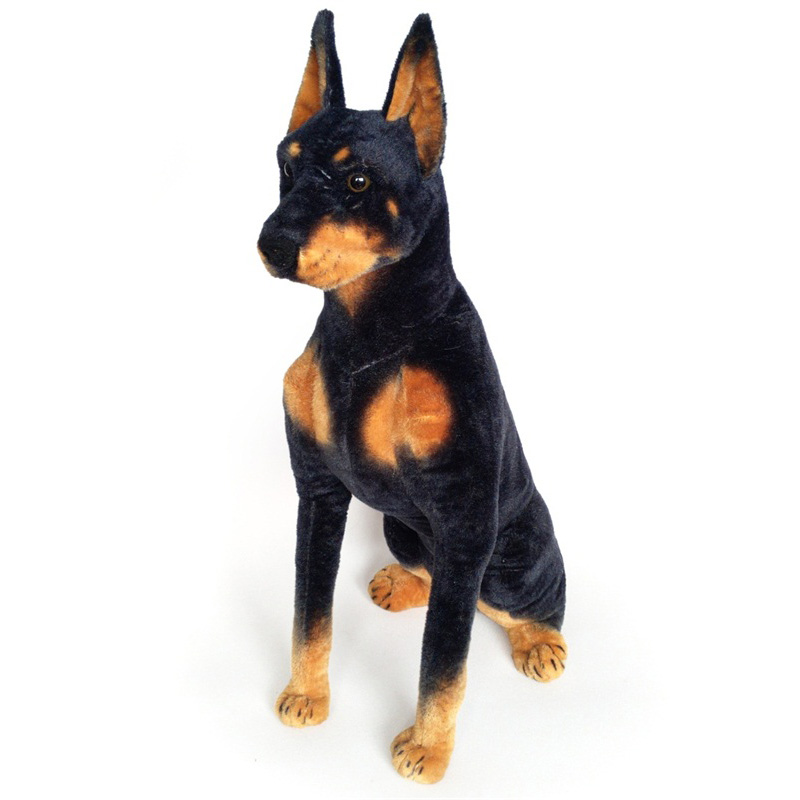 Sitting Dobermann