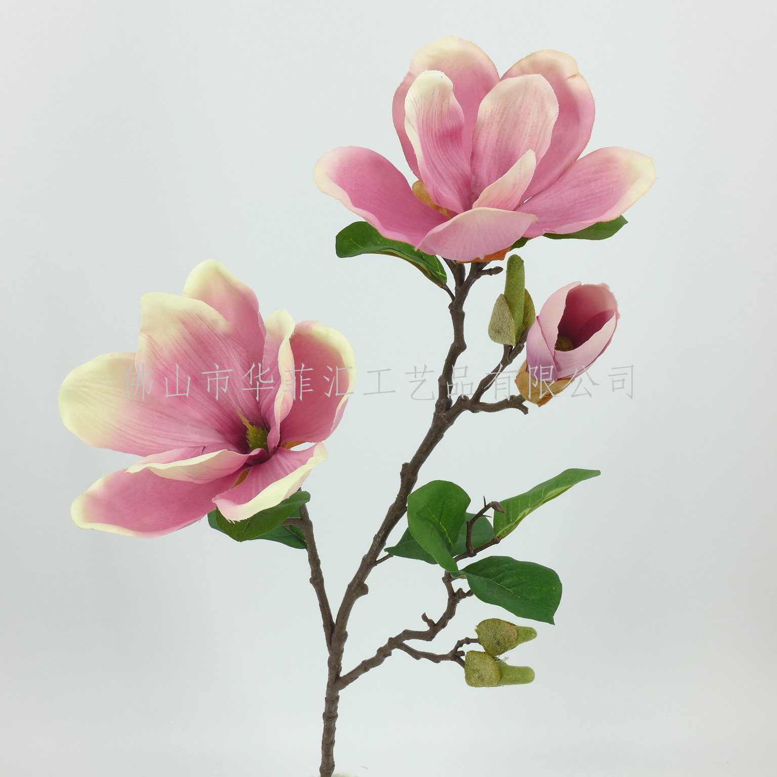 71cm Magnoliax3+5buds