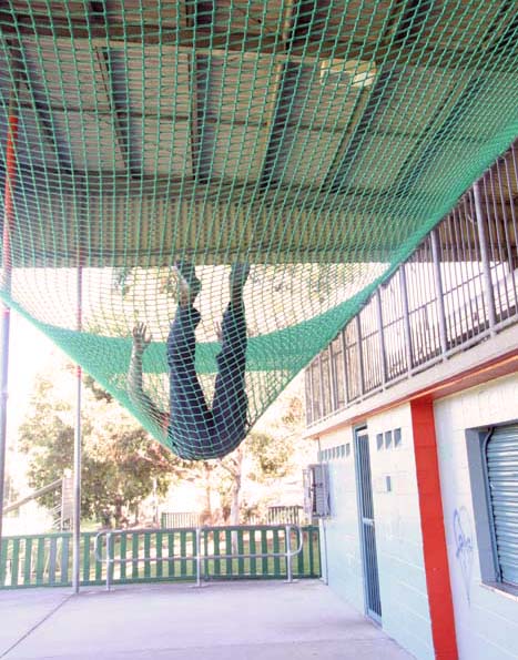 Protective net