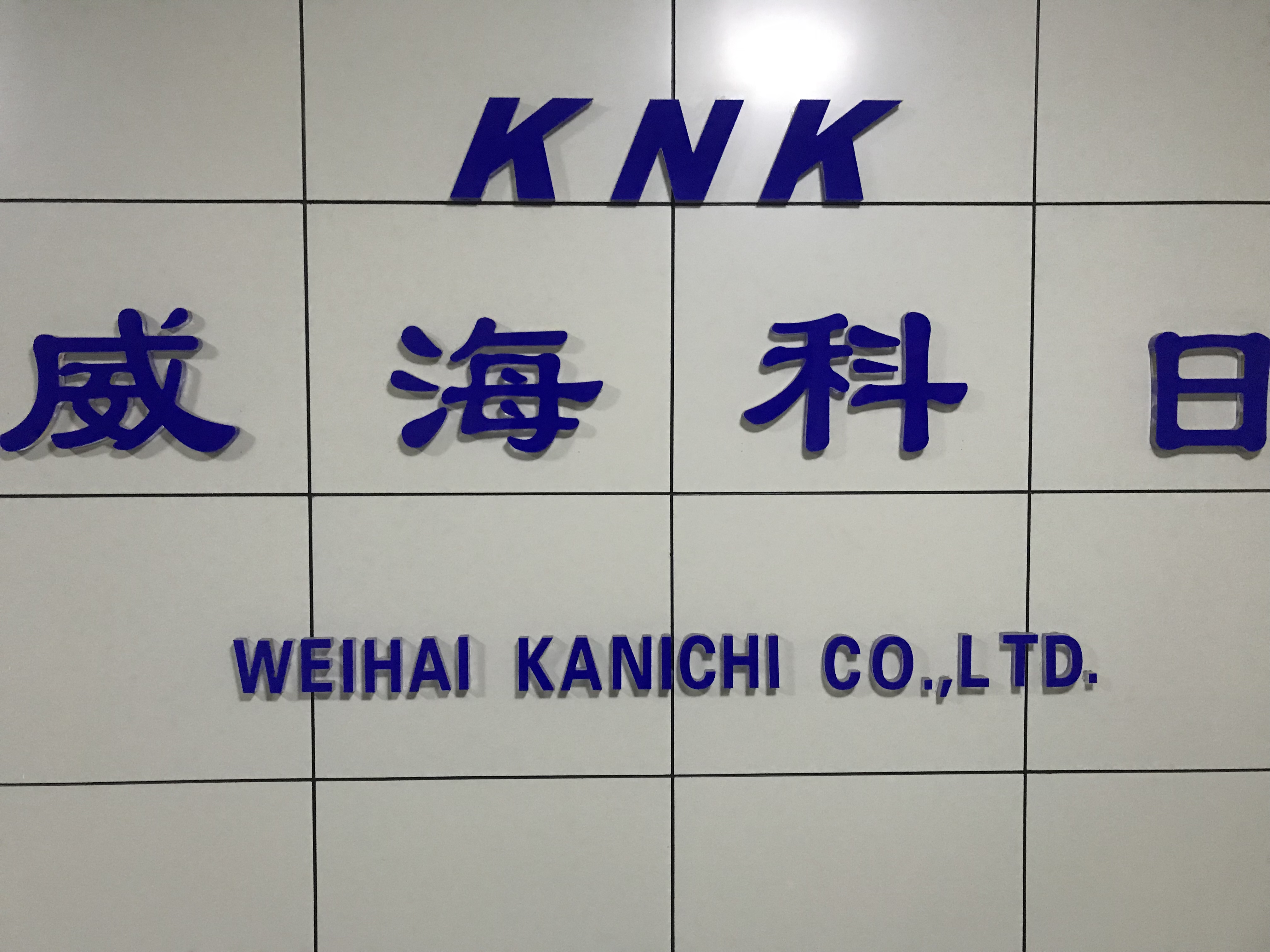 Weihai Keri Trading Co., Ltd. – Other handbags 1