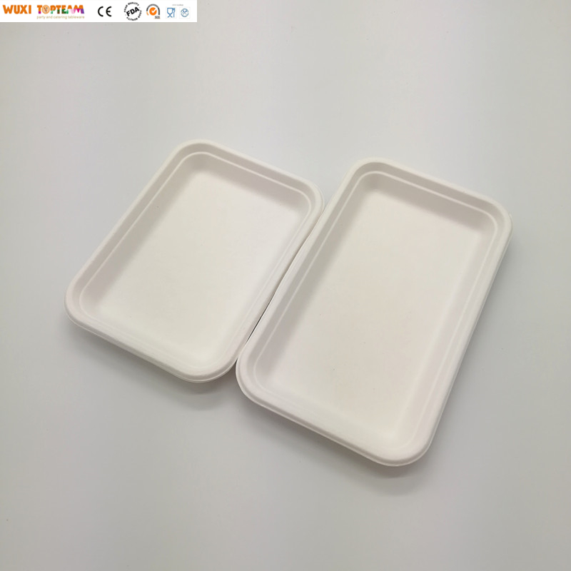 100% Biodegradable and Compostable Disposable Sugarcane Tray