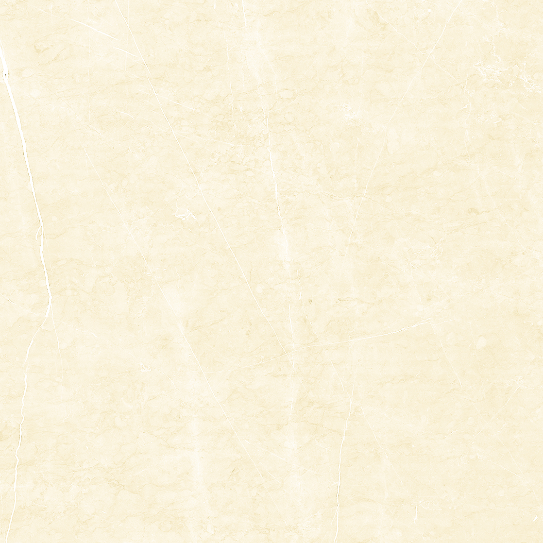 Glazed Tile-PPS6001