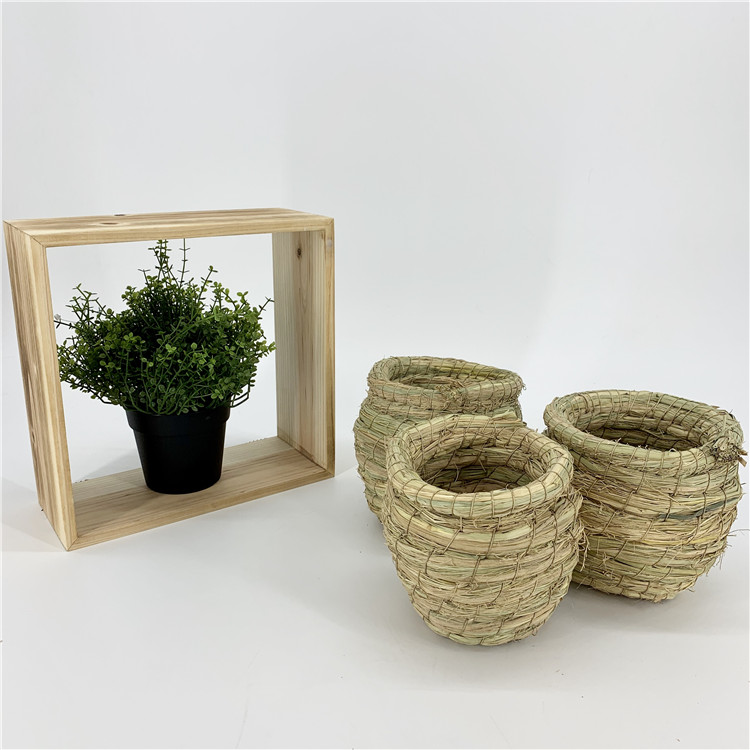 Hand-made nests for birds and parrots
