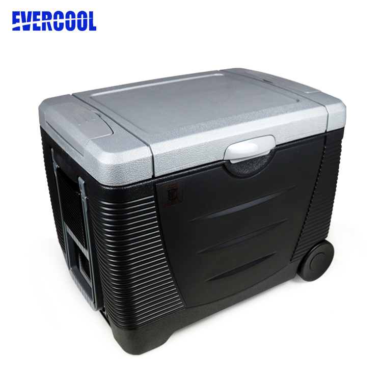 Thermoelectric cooler and warmer 45L