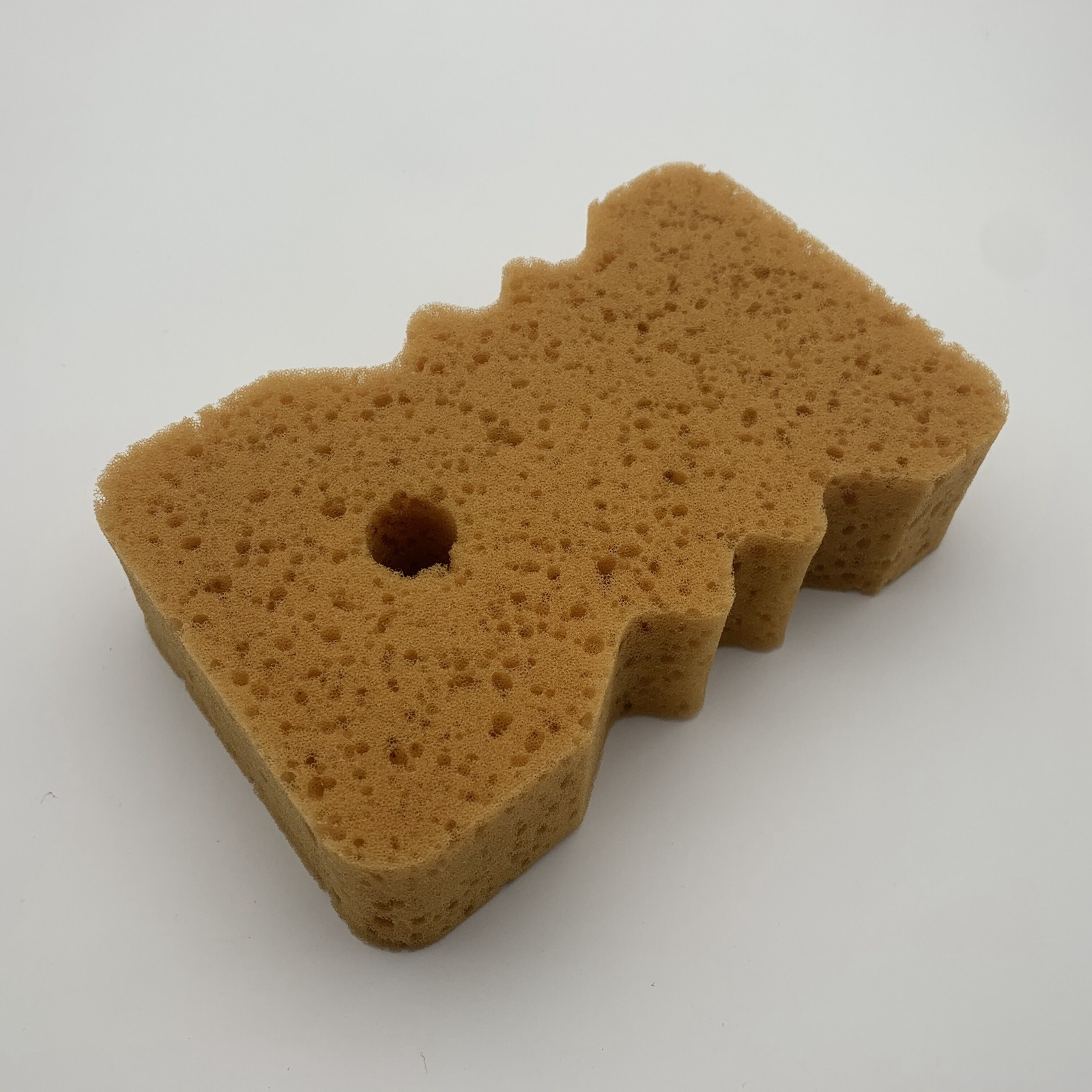 Wash Sponge