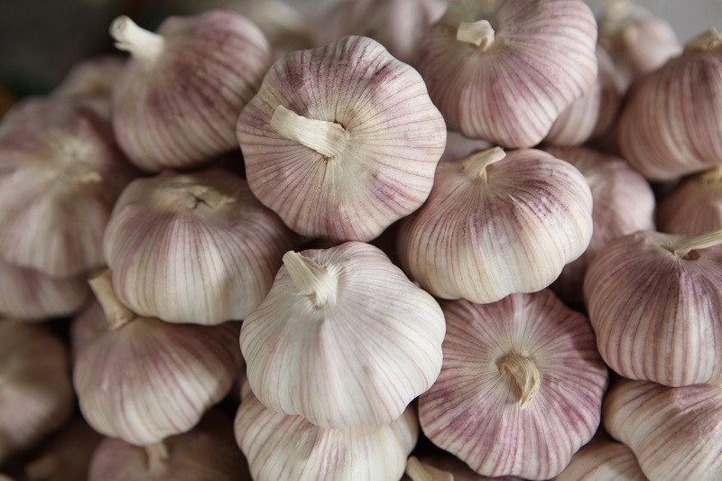 Fresh Garlics