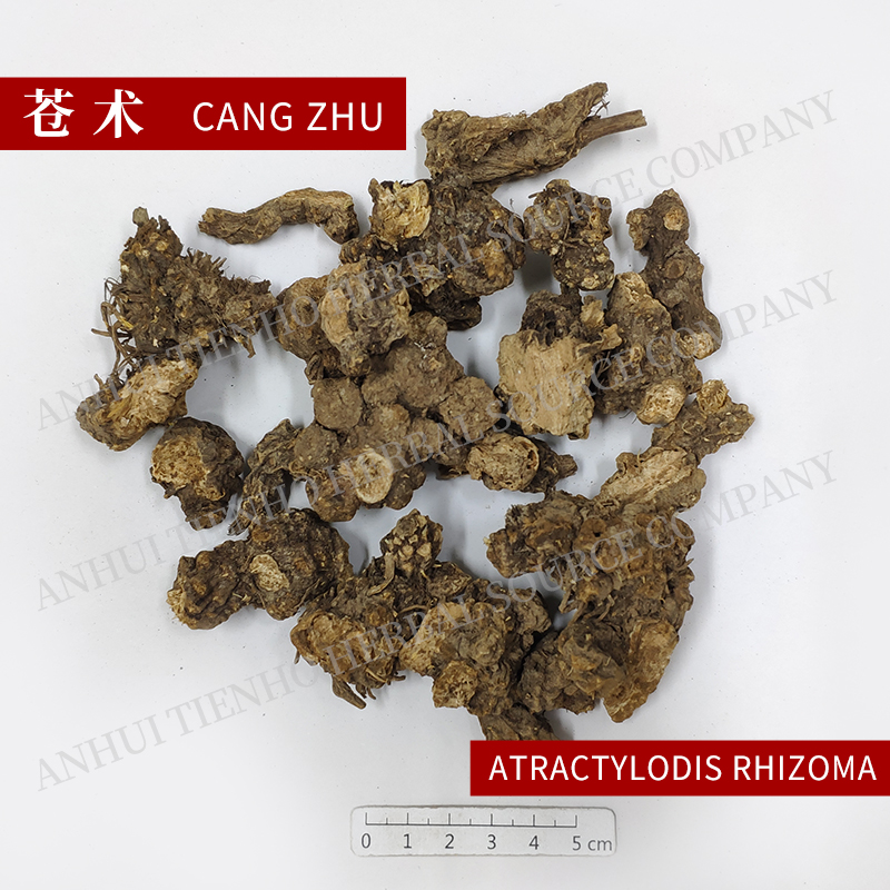 Rhizoma Atractylodis