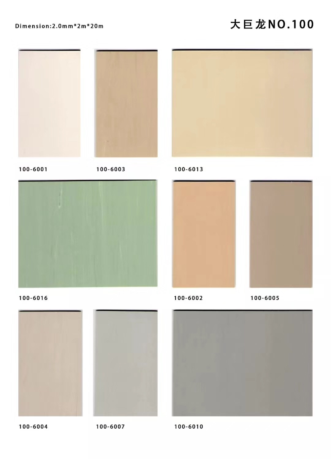 PVC plastic floor