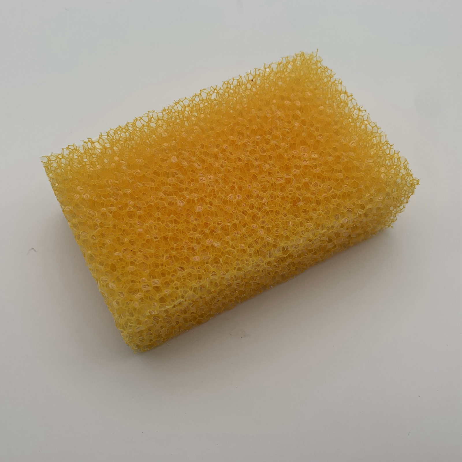 Wash Sponge