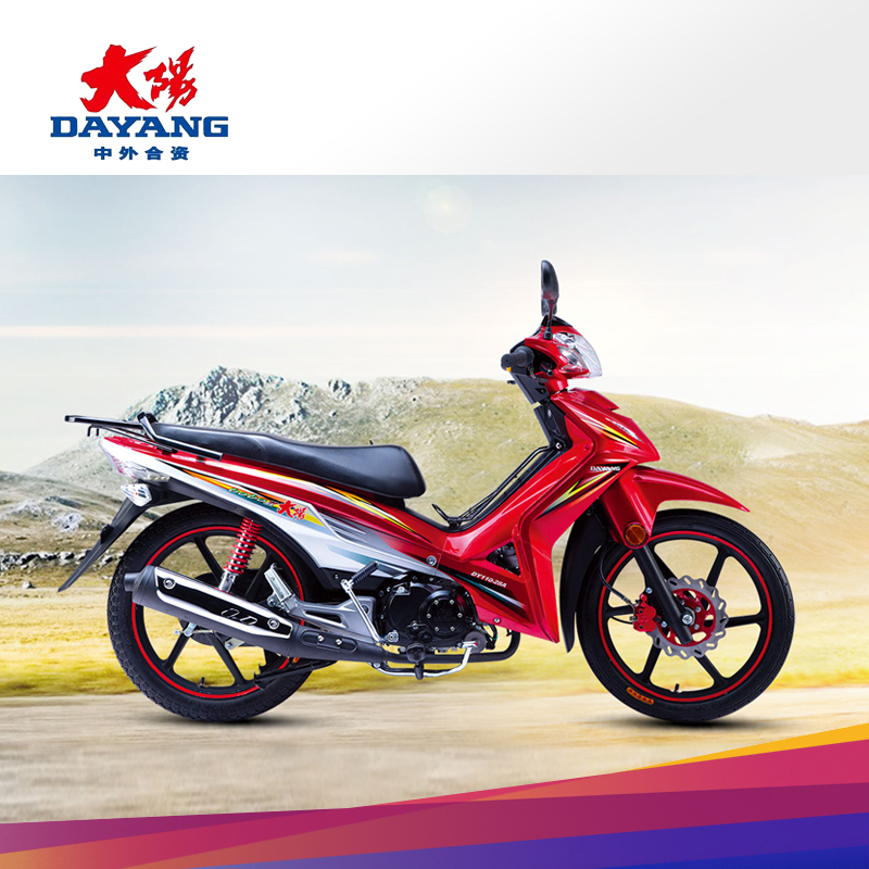 Dayang motorcycle DY110-28A
