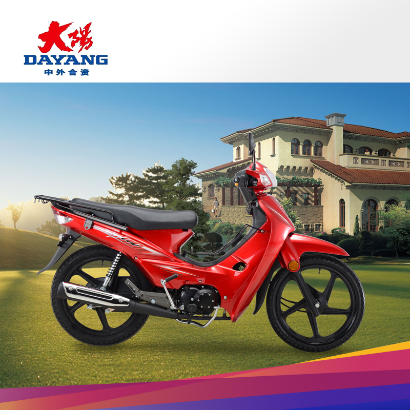 Dayang motorcycle DY110-2N