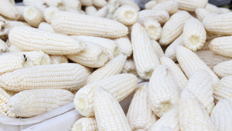 Zhangjiakou Lvye Agricultural Products Development Co., Ltd. – Product photos 2