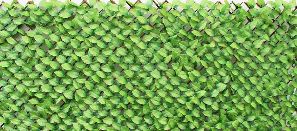 Willow Trellis