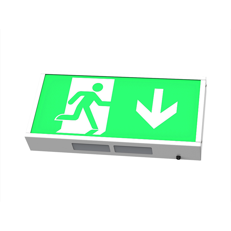 DPPUL LED Iron Shell Emergency Escape Indicator Box DP-338L