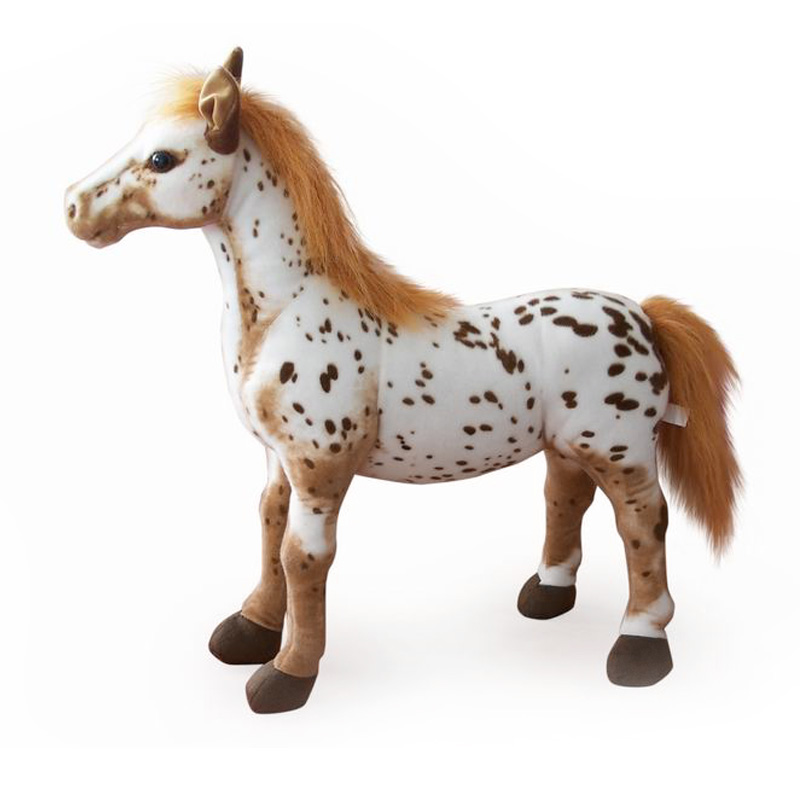 Standing Appaloosa Horse