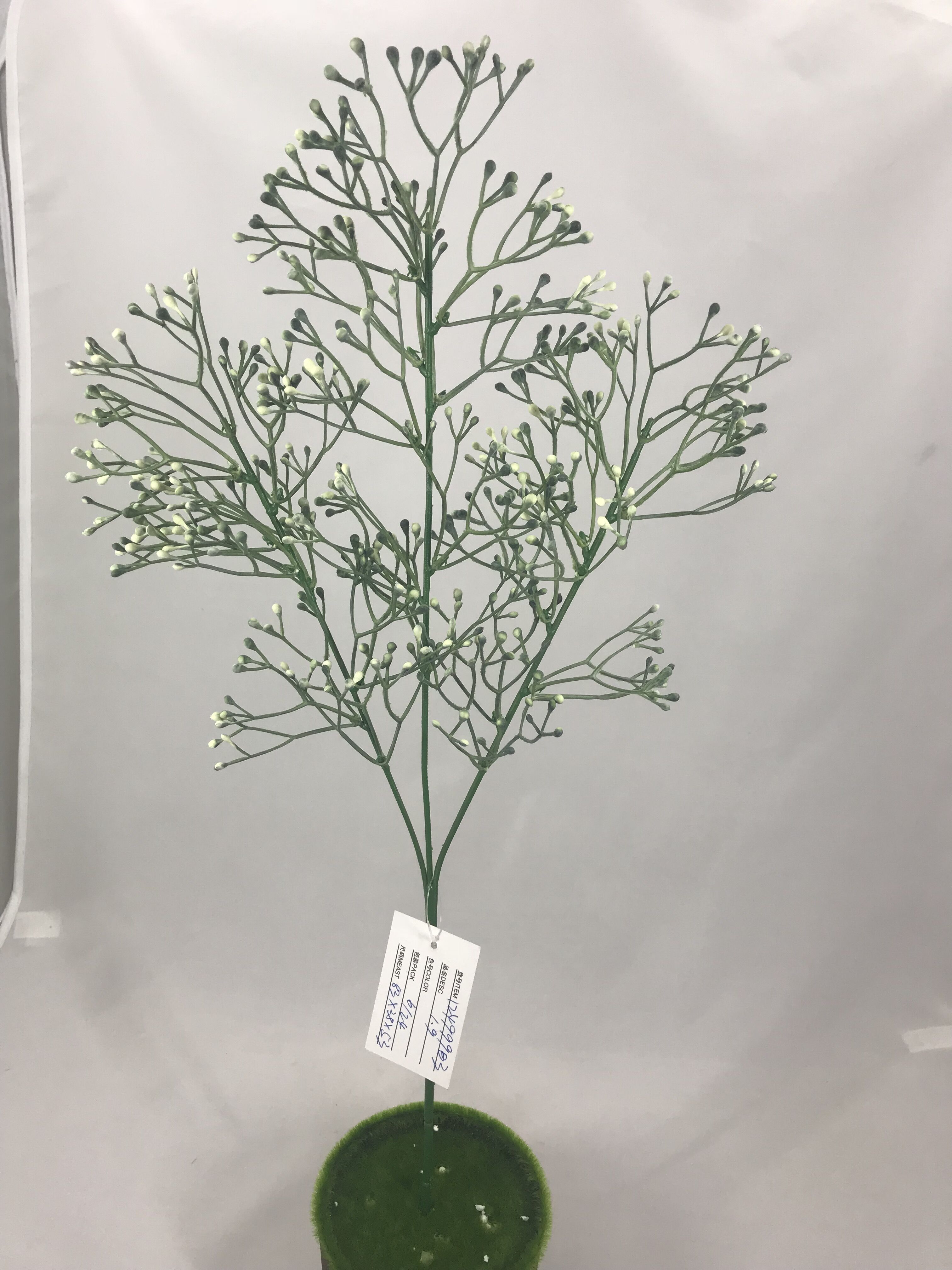 Plastic plants