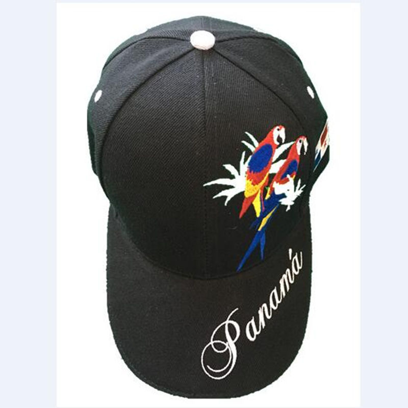 Embroidery baseball cap