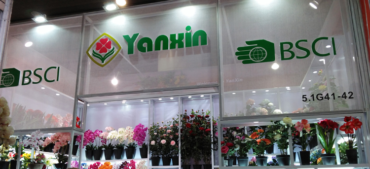 Baoding Yanxin Artificial Flower Co., Ltd. – Other flower seedlings 1