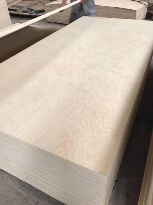 birch plywood