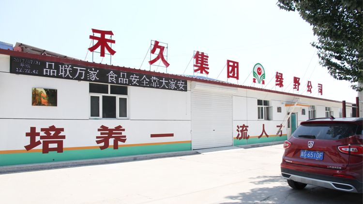 Zhangjiakou Lvye Agricultural Products Development Co., Ltd. – 玉米 1