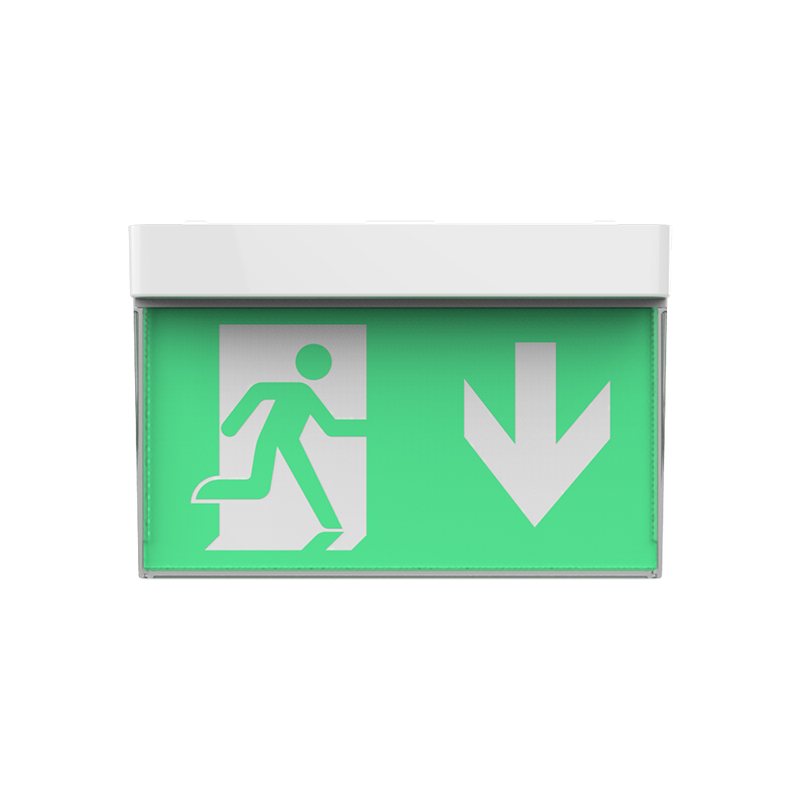 DPPUL ceiling-mounted emergency escape indicator integrated tag light DP-966L