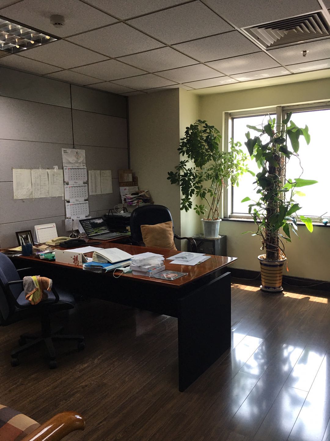 Shandong Yateme Import and Export Co., Ltd. – Product photos 3