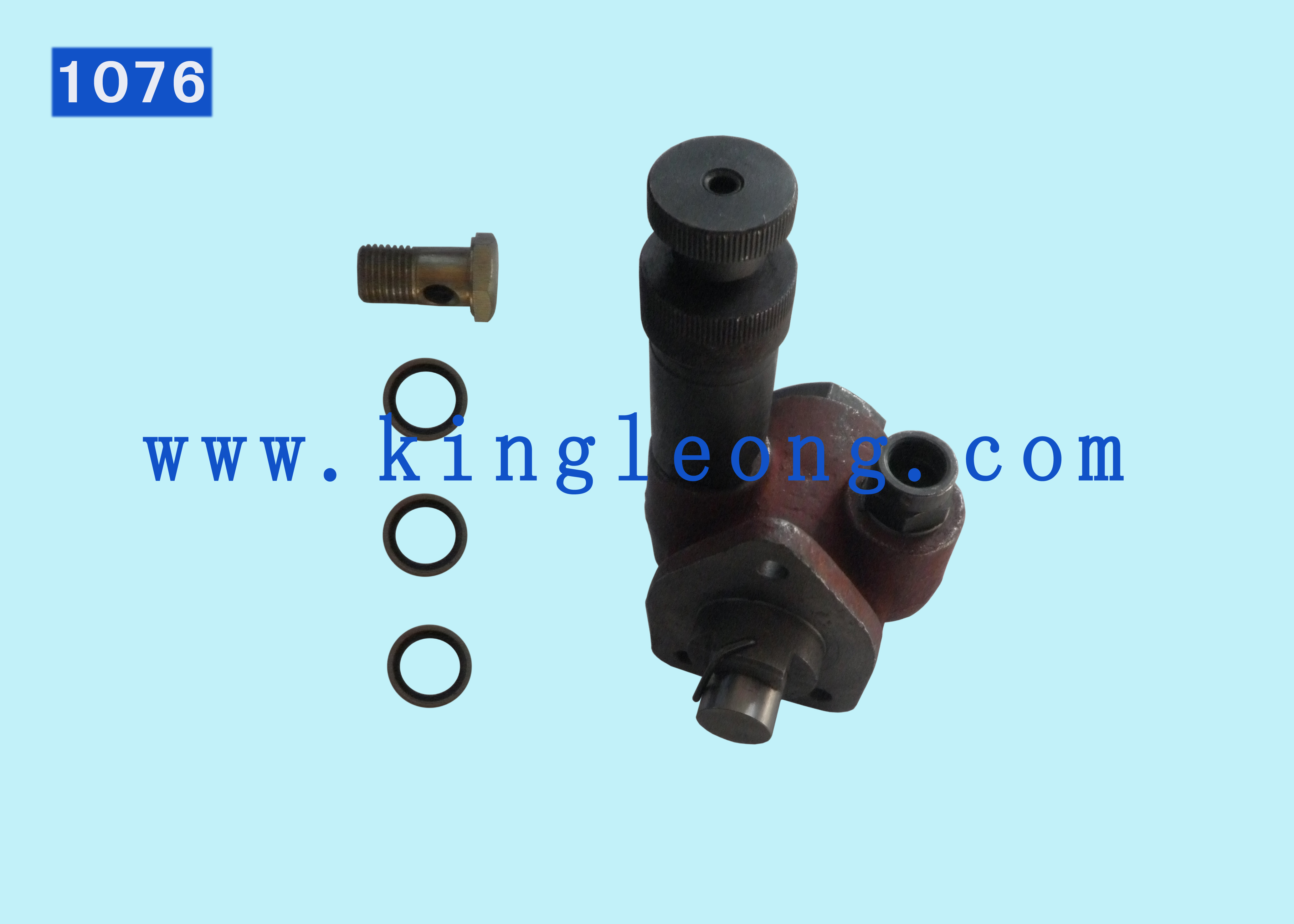 Fuel Booster Pump